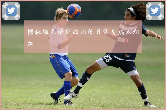 揭秘维尼修斯的训练日常与成功秘诀