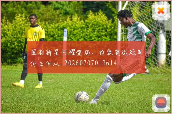 国羽新星闪耀登场,伦敦奥运冠军何去何从_20260707013614